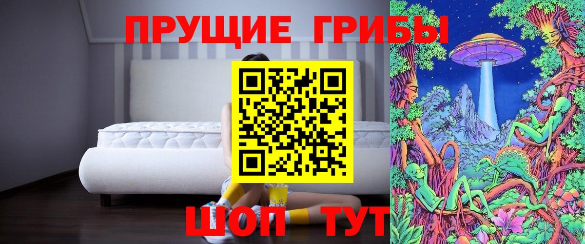 Псилоцибиновые грибы прущие грибы  Вход с VPN  Асино 